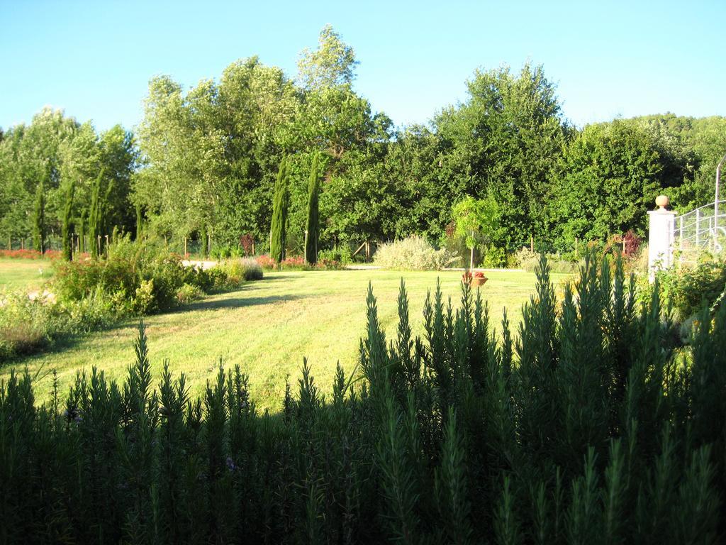 Agriturismo Il Molino Antico - 5 Girasoli Spoleto Buitenkant foto